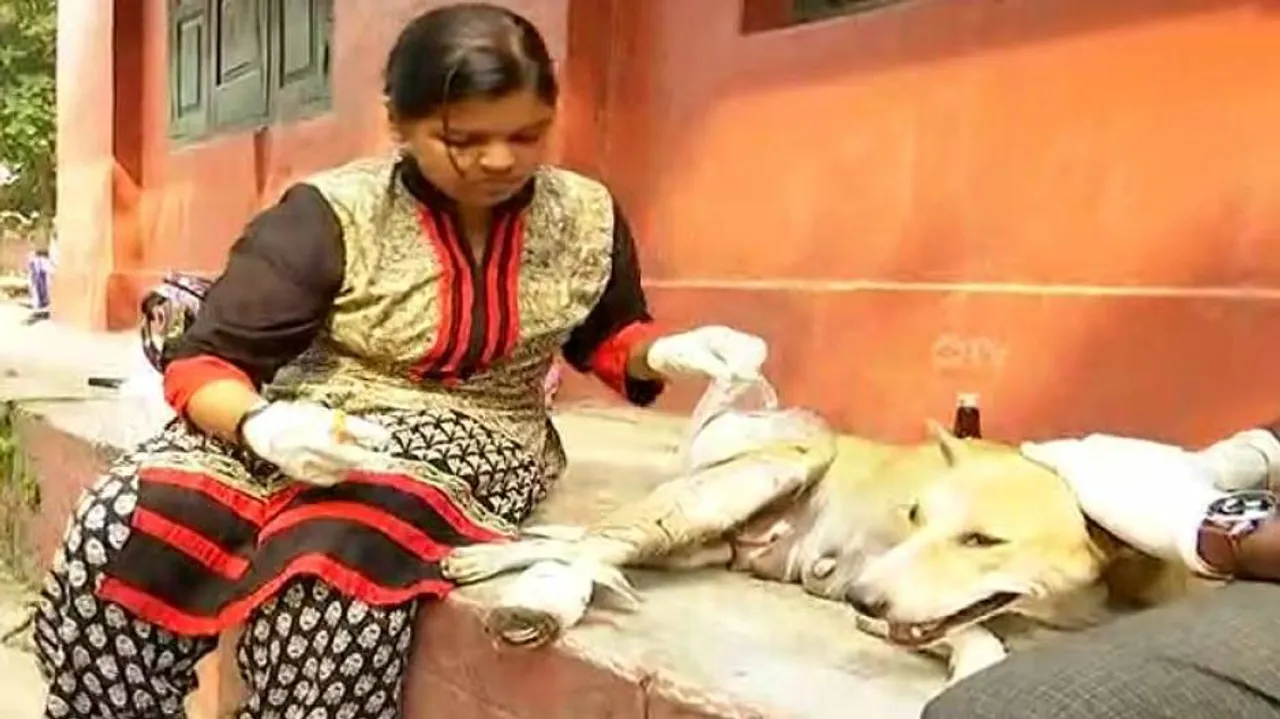 Ravenshaw Student Turns Saviour & Friend For Stray Animals