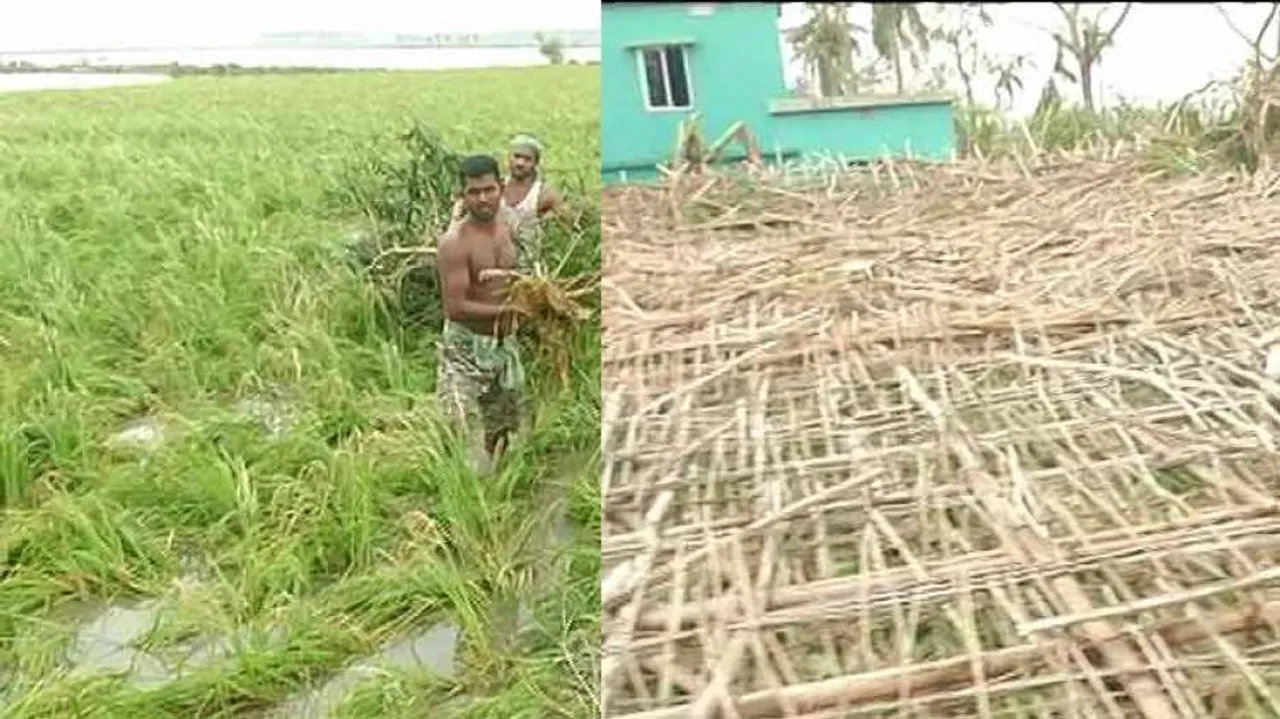 Fani fury hits farmers hard; crops worth lakhs damaged in Puri, Khurda