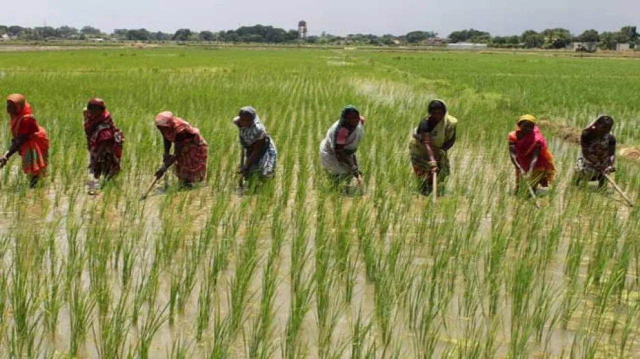 Agriculture Receives Increased Outlay In Odisha Budget 2020