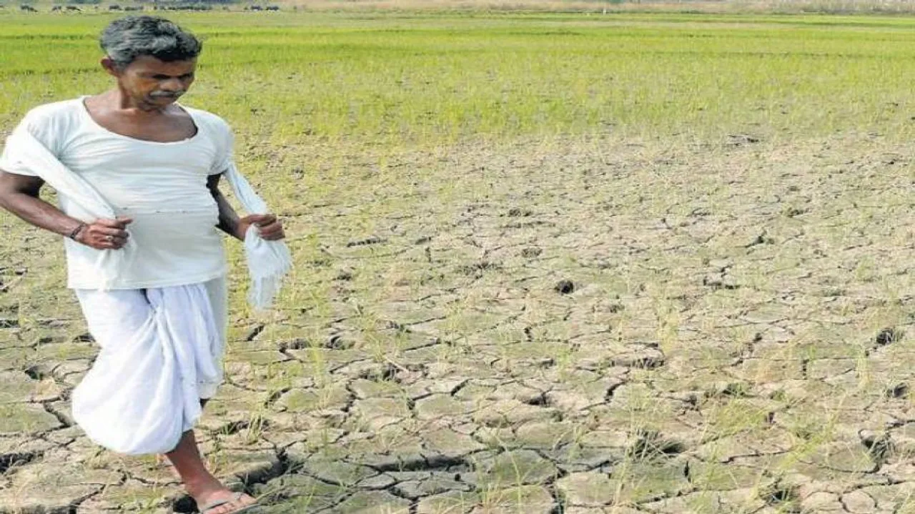 70 blocks of 15 districts ‘affected by drought’ in Odisha