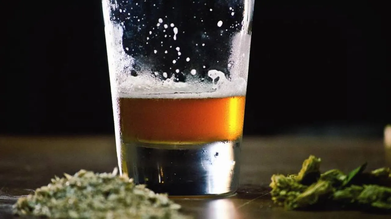 Binge drinking, pot can make you a loser: Research
