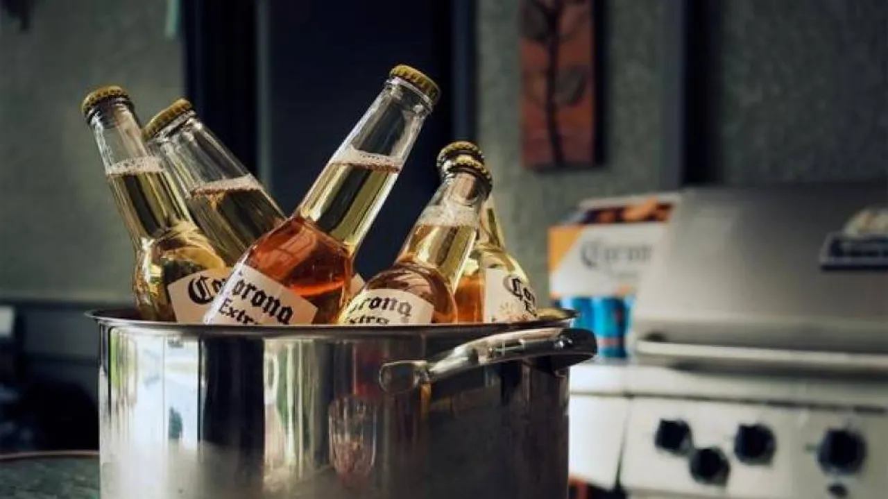 Brain's immune system could make us impulsive to drink alcohol