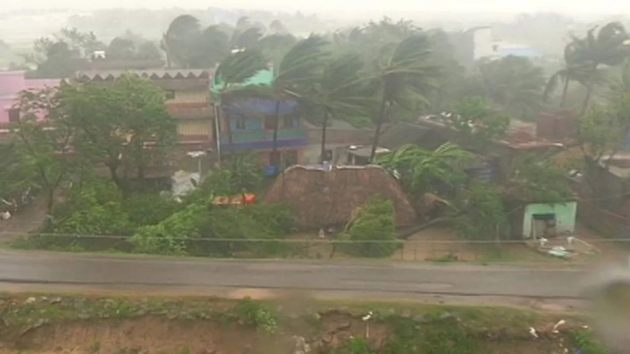 No Casualties, 1 lakh hectare crop area damaged by Cyclone Amphan In Odisha