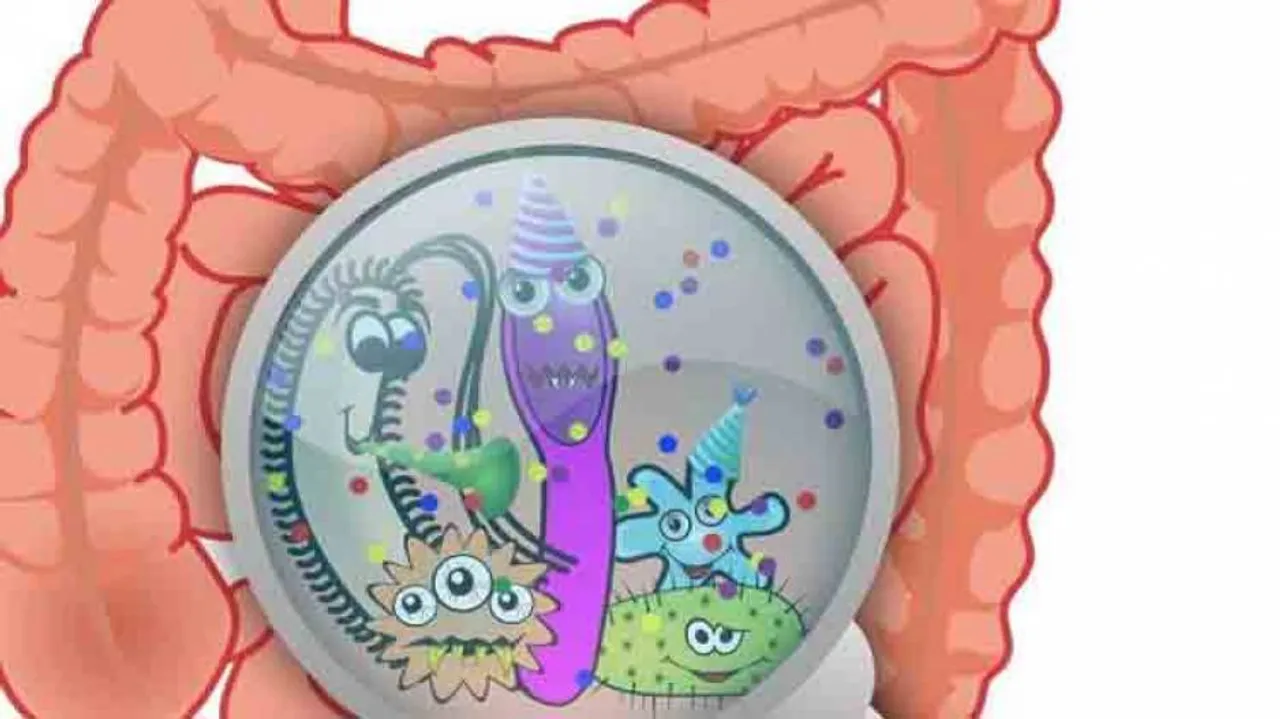 Over 6,000 antibiotic resistance genes in gut bacteria identified