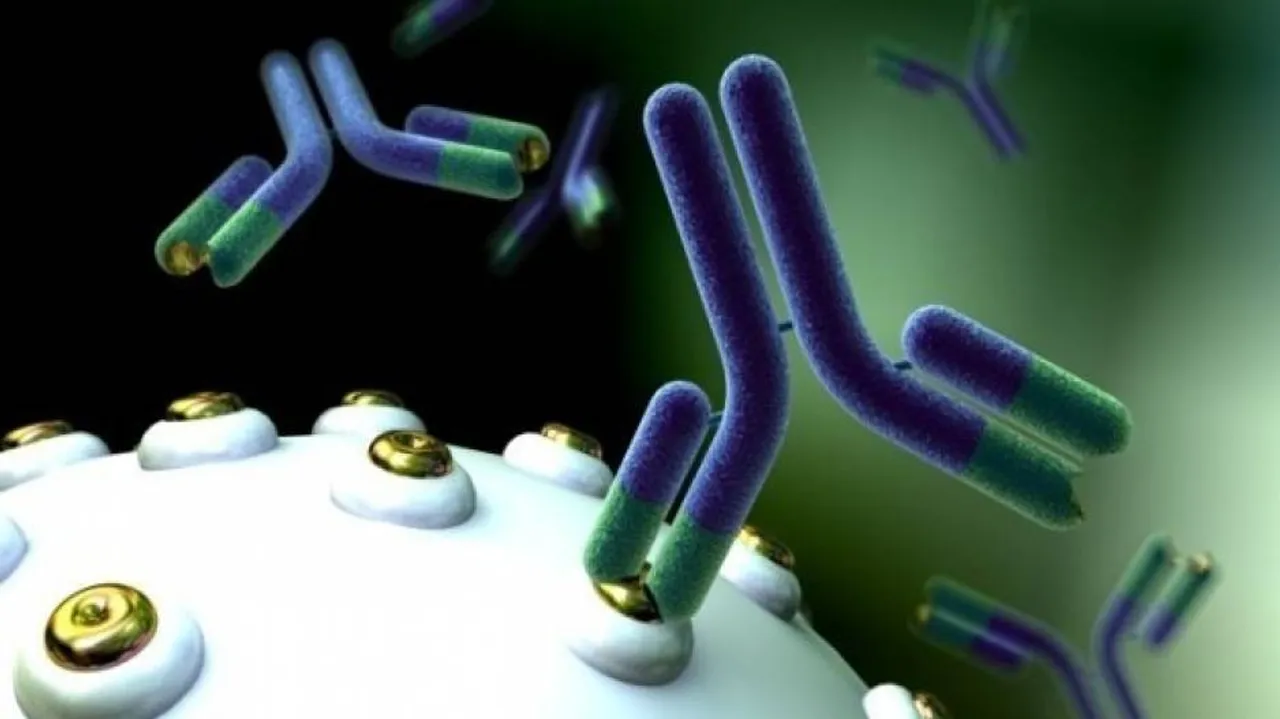 Antibody that can help kill cancer cells emerges