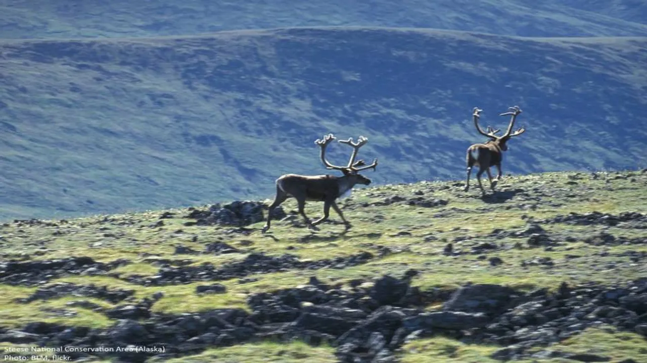 Spring coming sooner to Arctic due to climate change