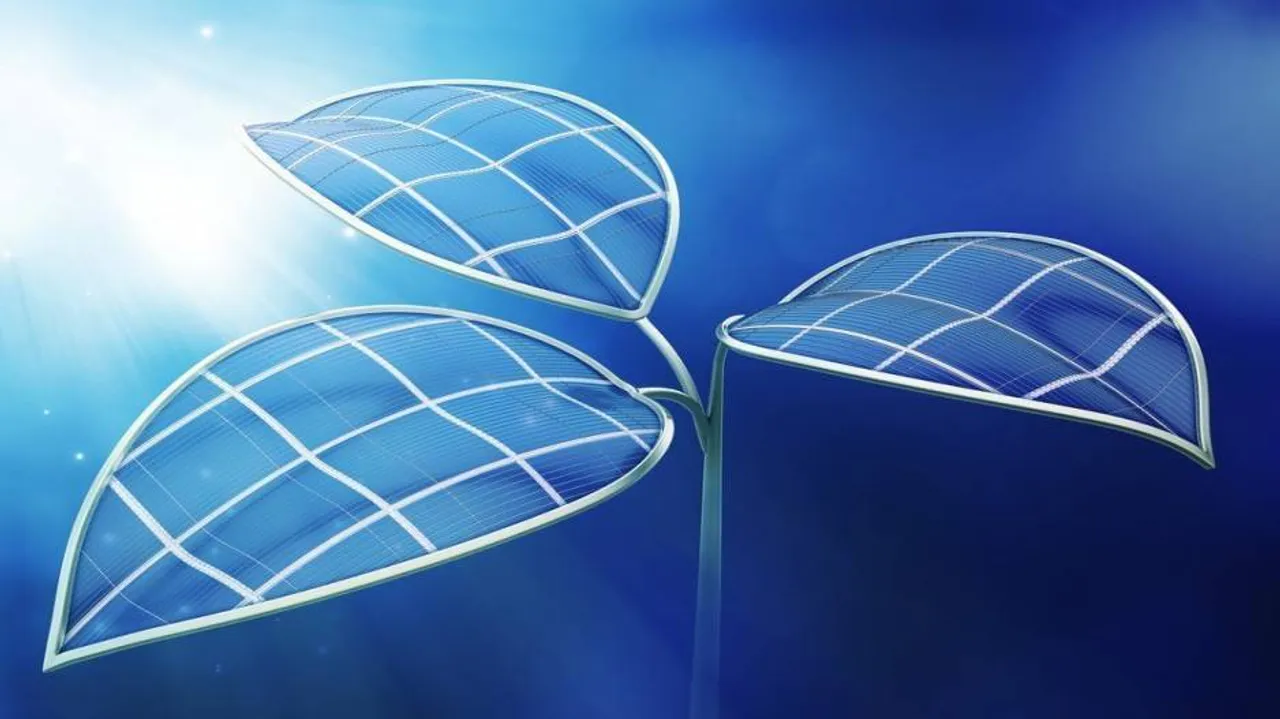 New artificial leaf creates fuel from sunlight, water