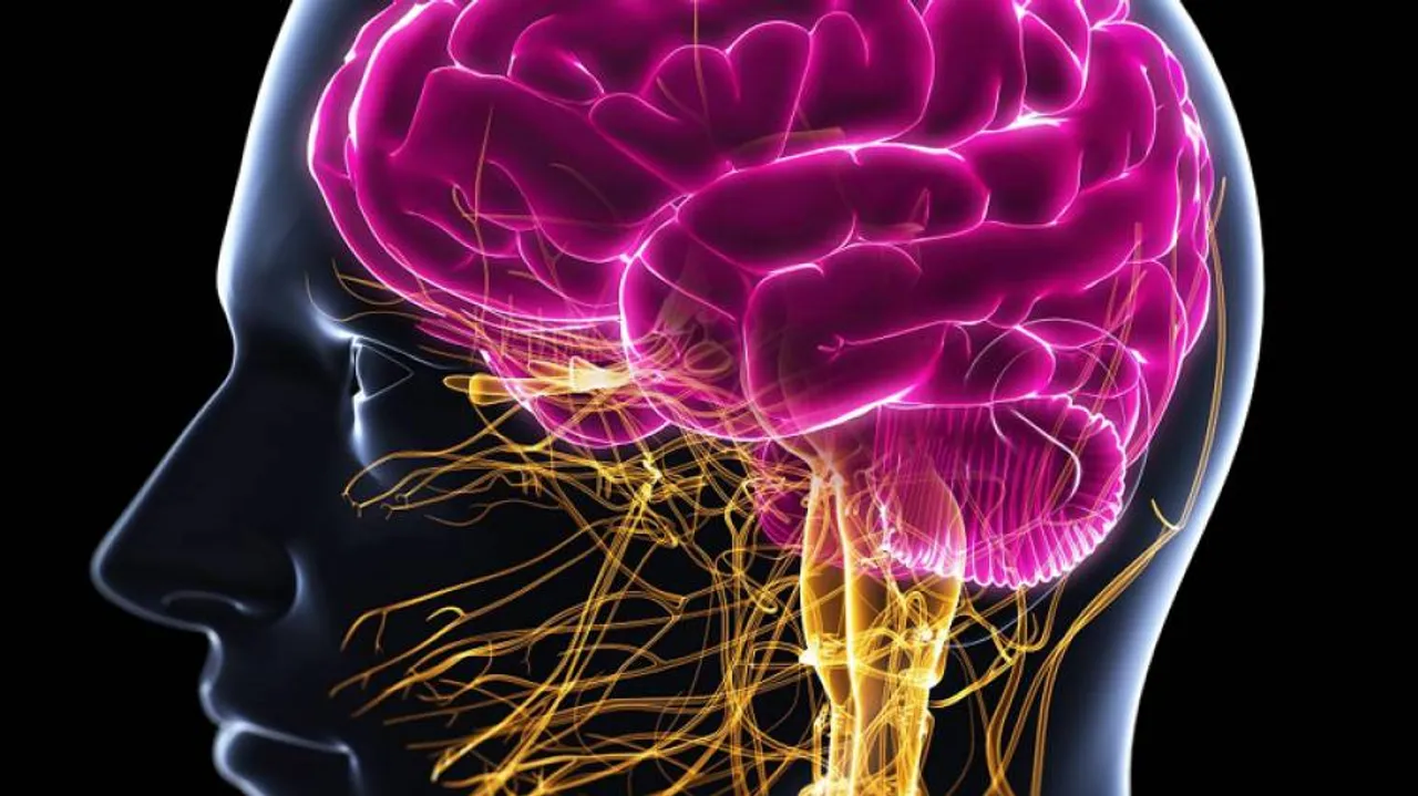 Scientists Find Brain Abnormalities In COVID-19 Patients