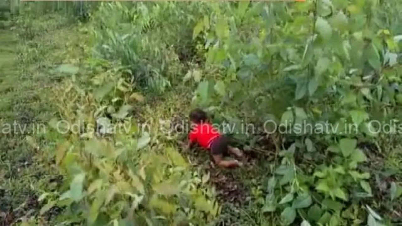 Process for adoption of girl child rescued from Koraput forest begins