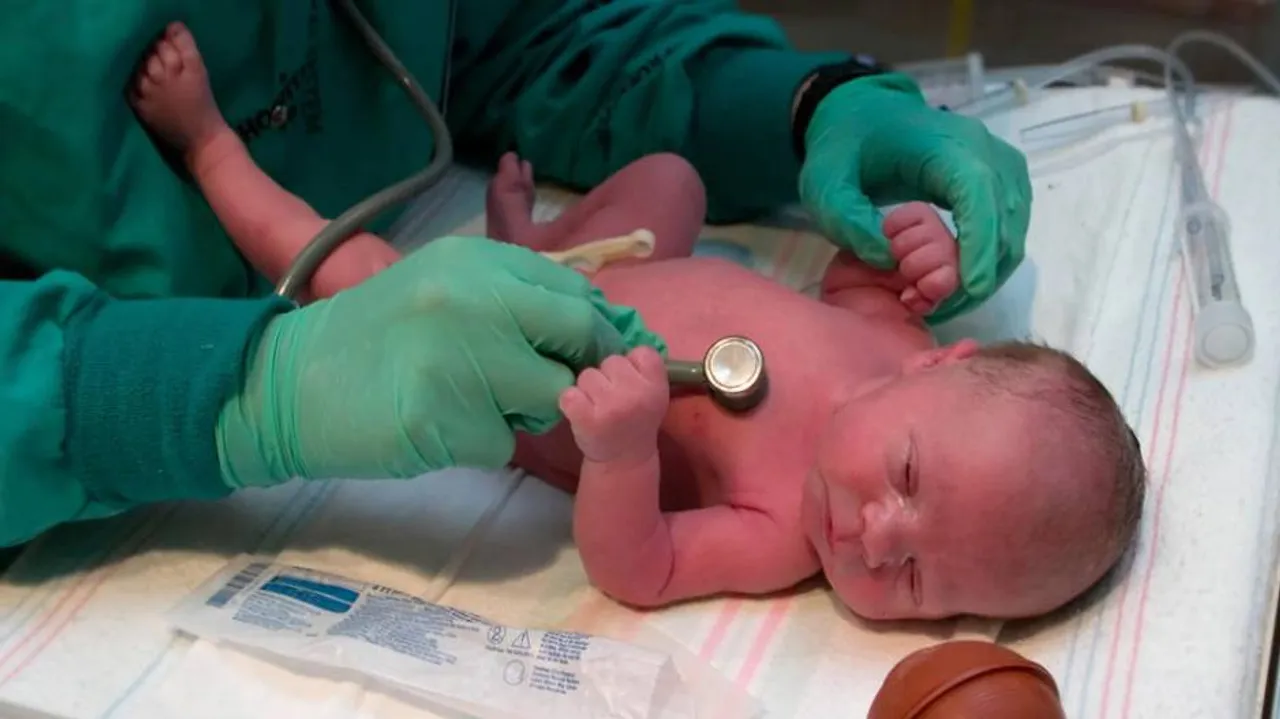 Researchers find out how a baby's heart develops
