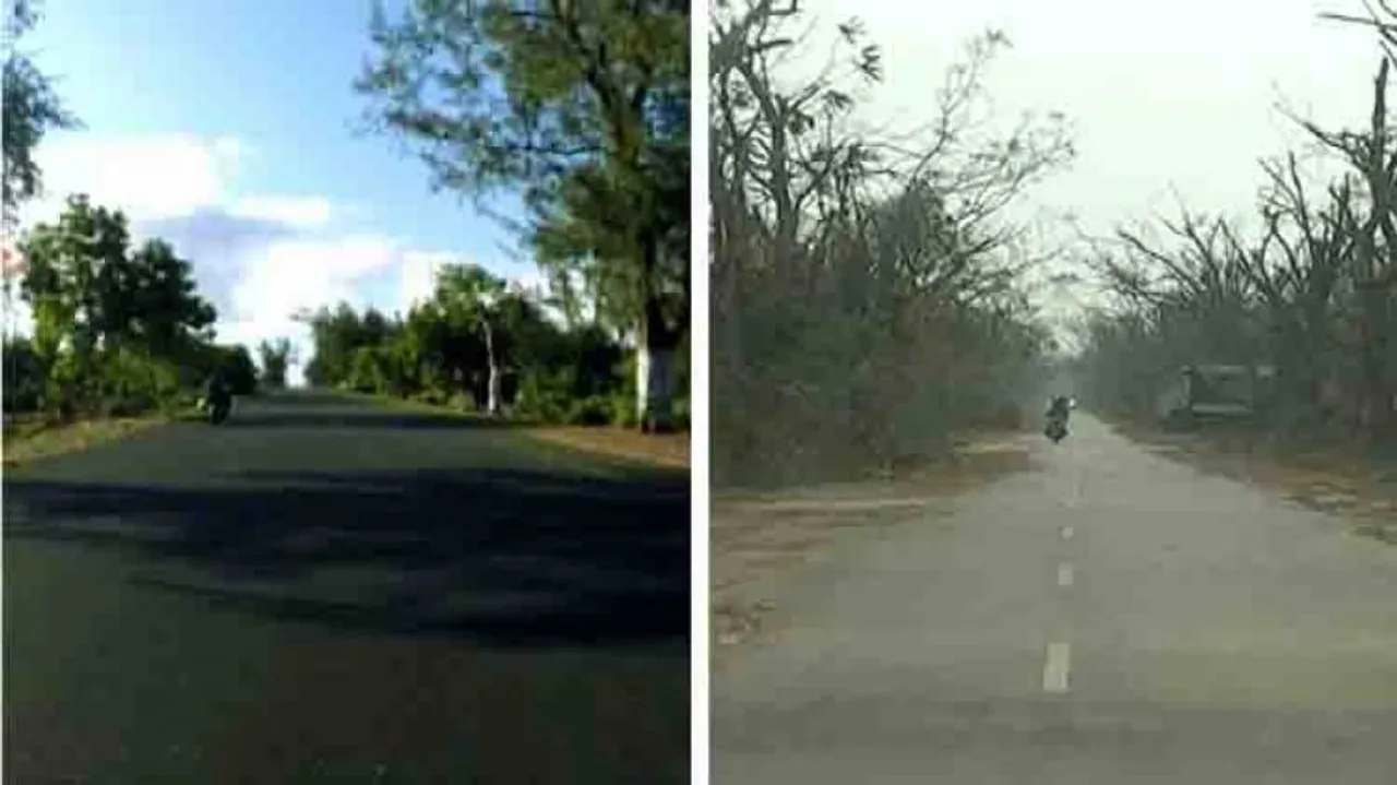 Paradise lost! After Fani fury, Balukhand sanctuary now a sad spectacle
