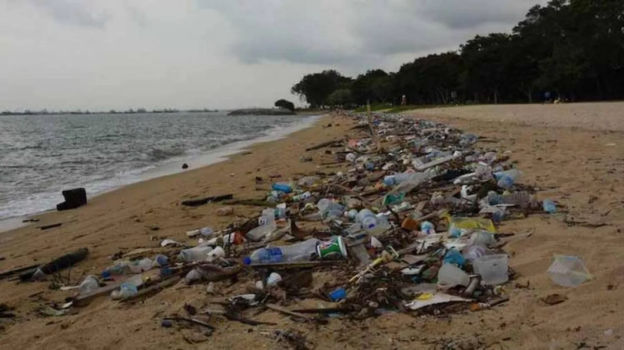 Gopalpur Beach More Polluted Than Puri, Finds New Study
