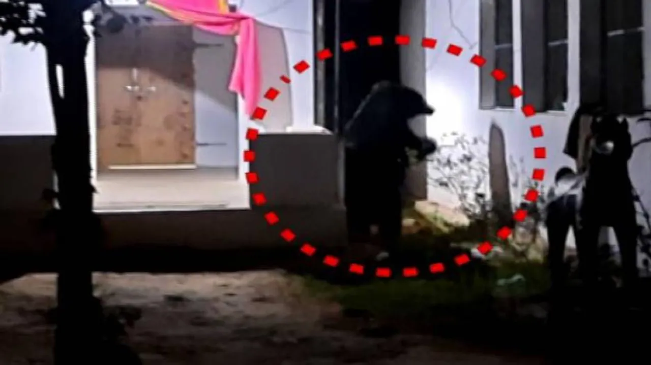 Watch: Panic Grips Locals As Bear Strays Into Nabarangpur Village