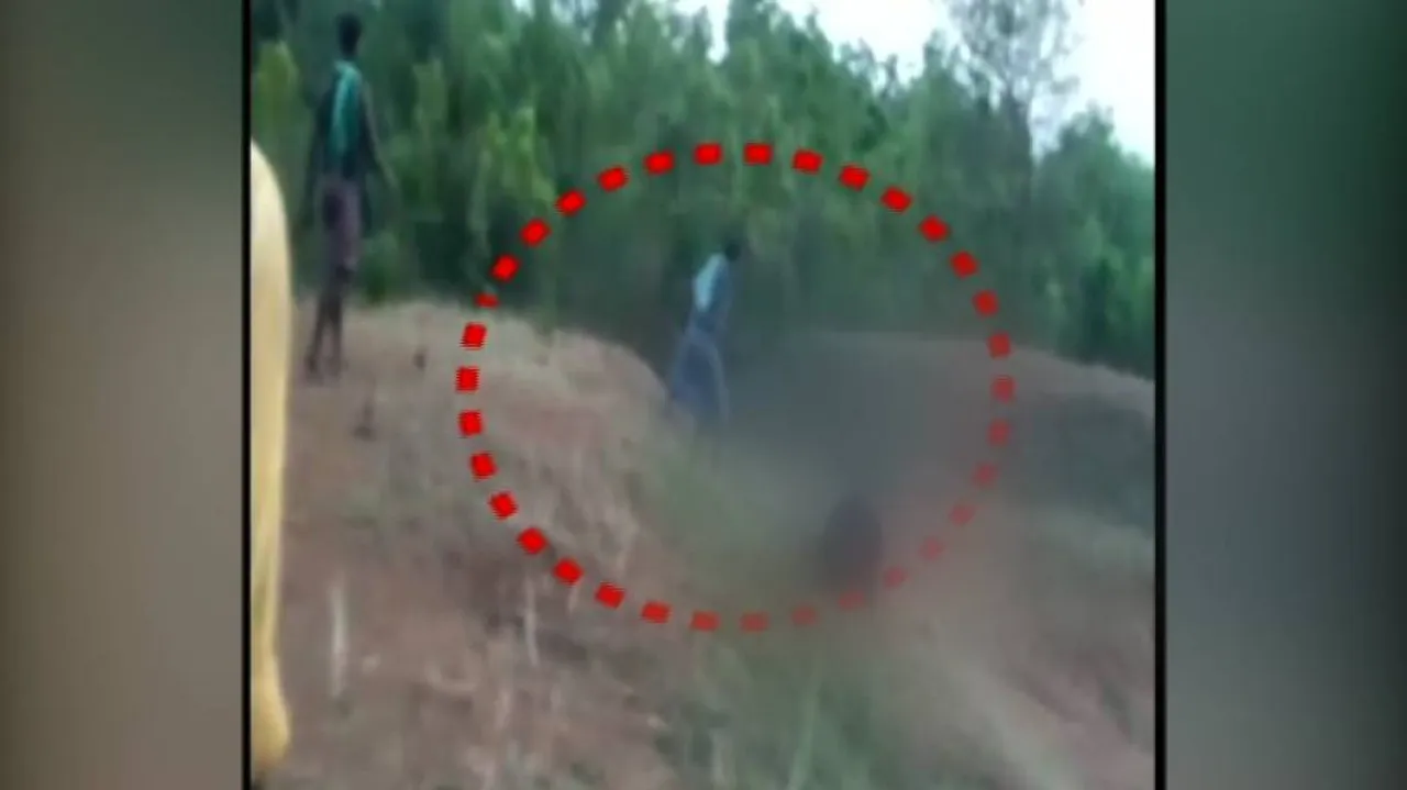 Man mauled to death by bear in Nabarangpur