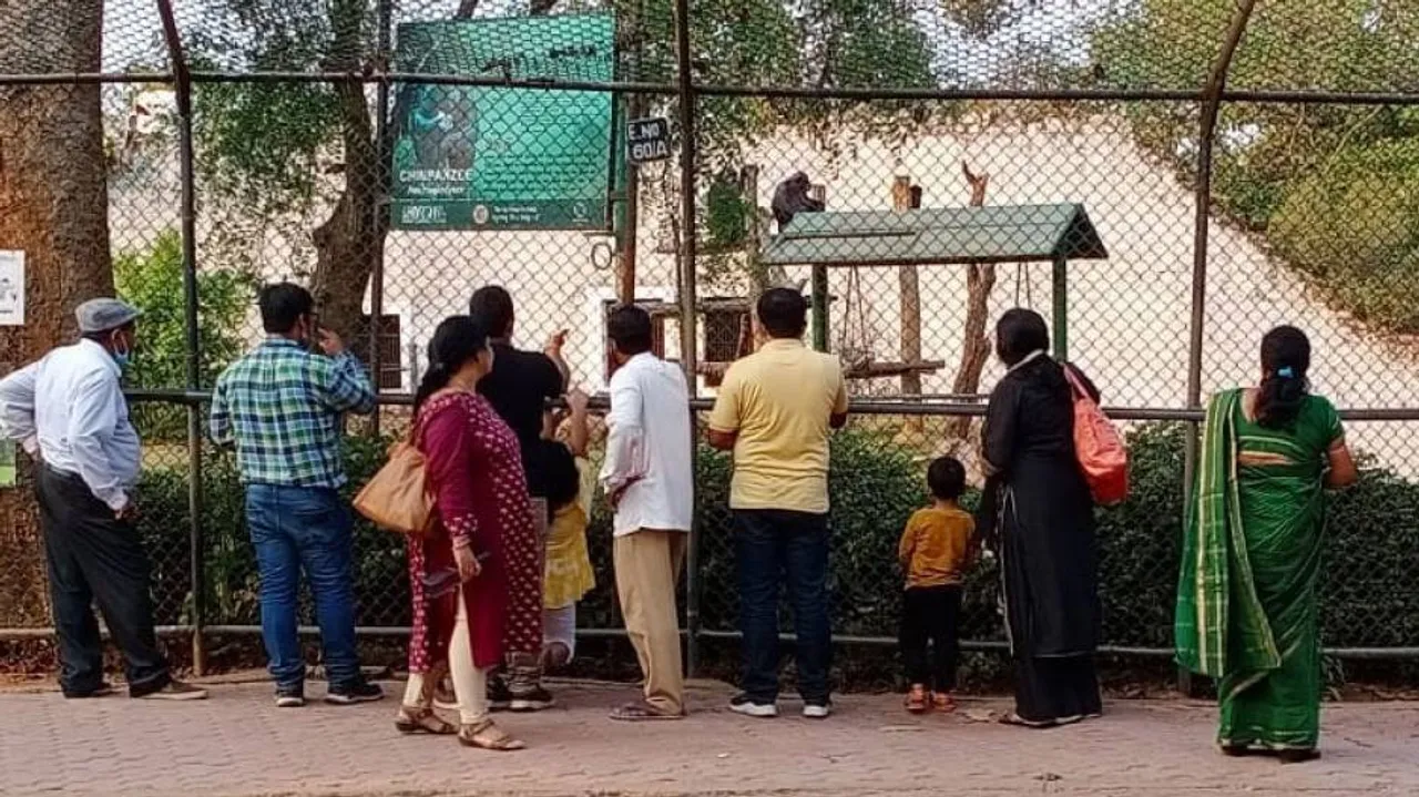 Over 15 Tourists Injured In Bee Attack Inside Nandankanan Zoo In Bhubaneswar