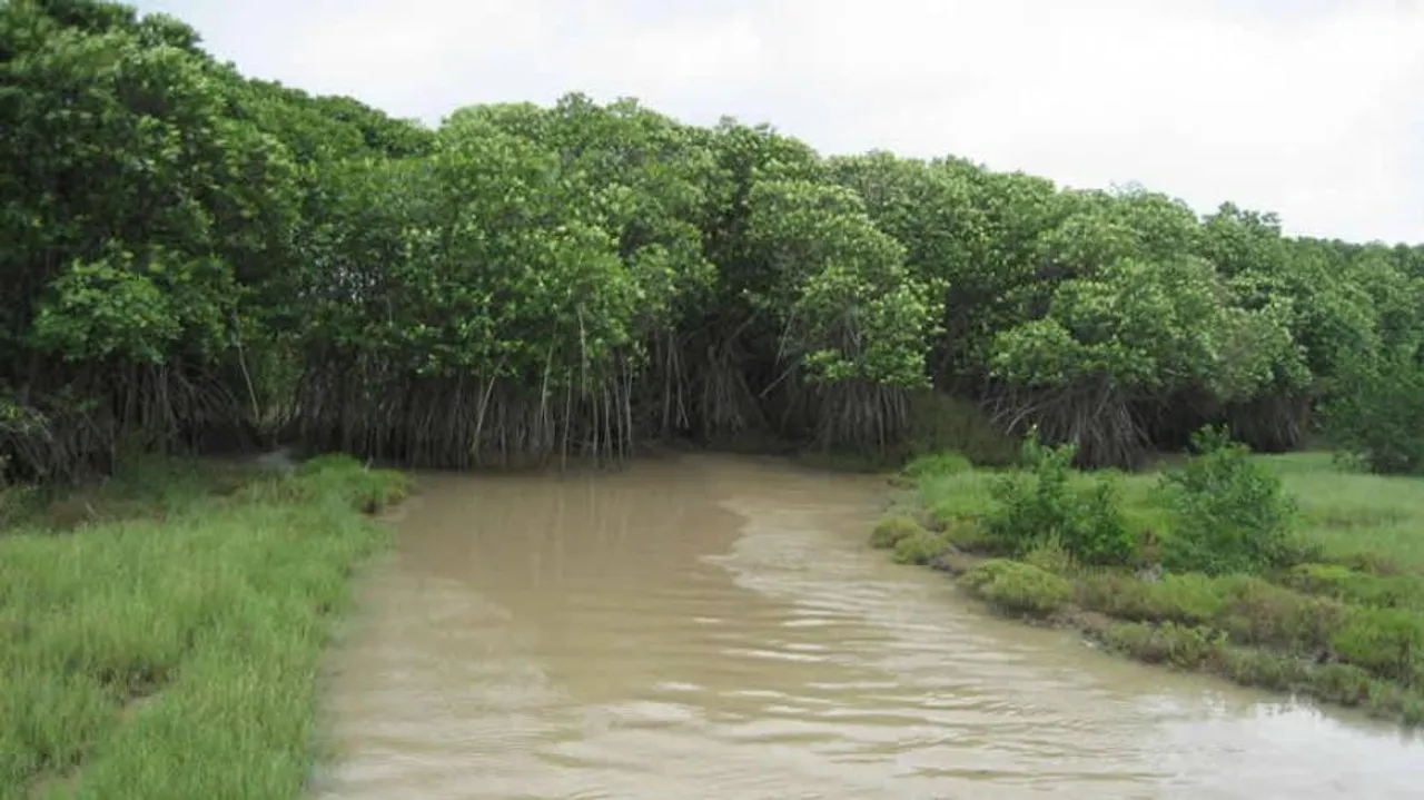 Bhitarkanika may get world heritage tag