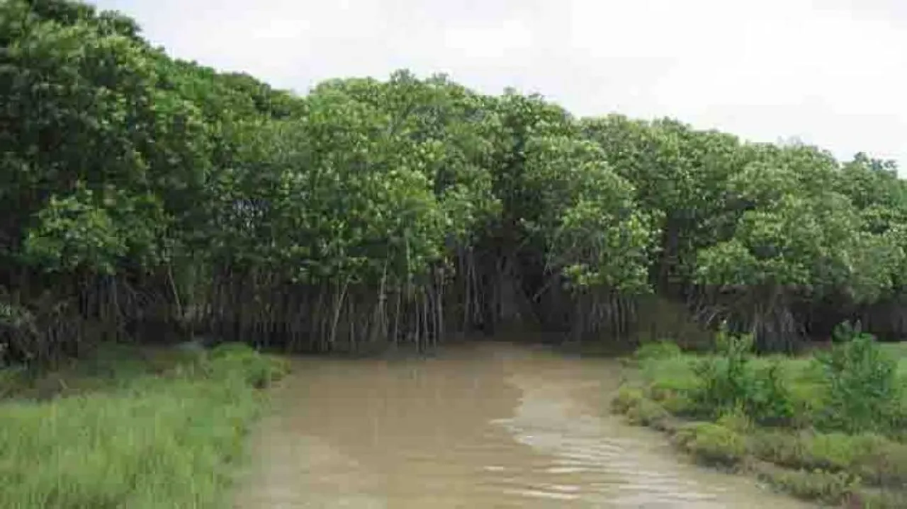Bhitarkanika national park to remain closed till July 31