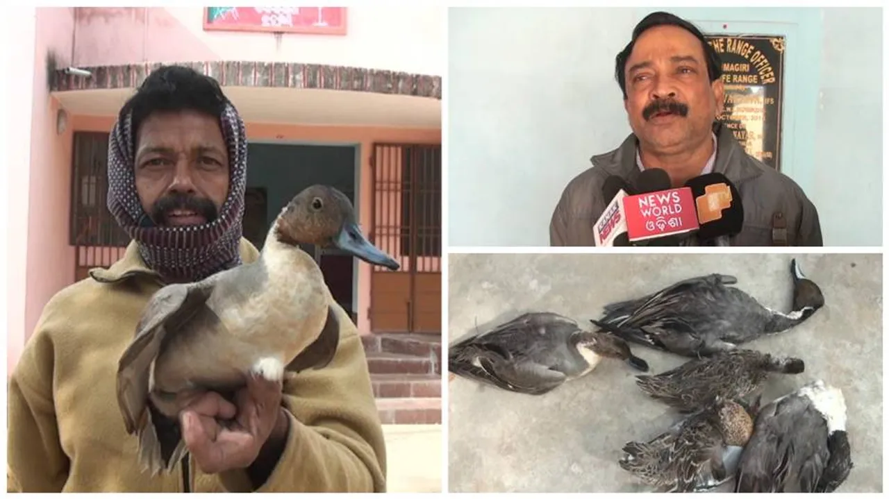 Five migratory birds recovered, poachers flee
