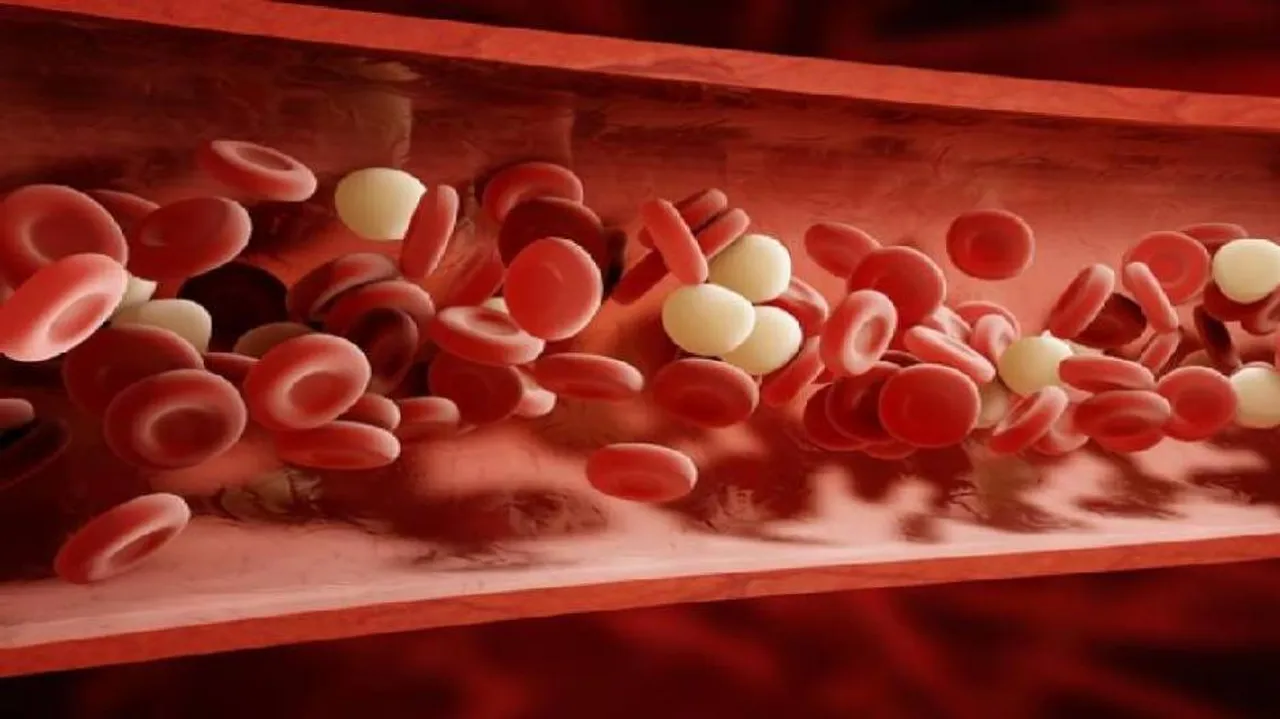 These tiny swimming robots may deliver drugs in blood vessels