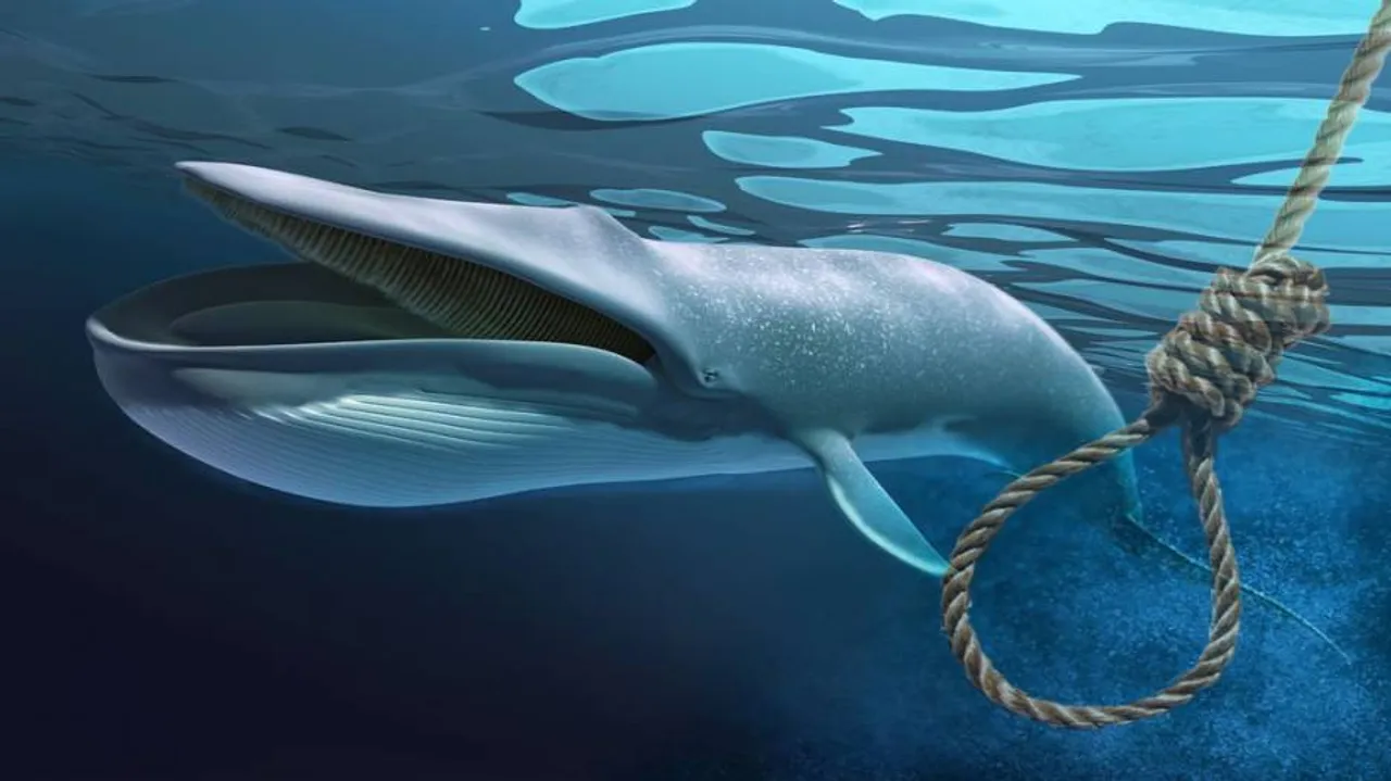 Blue Whale game claims first victim in UP