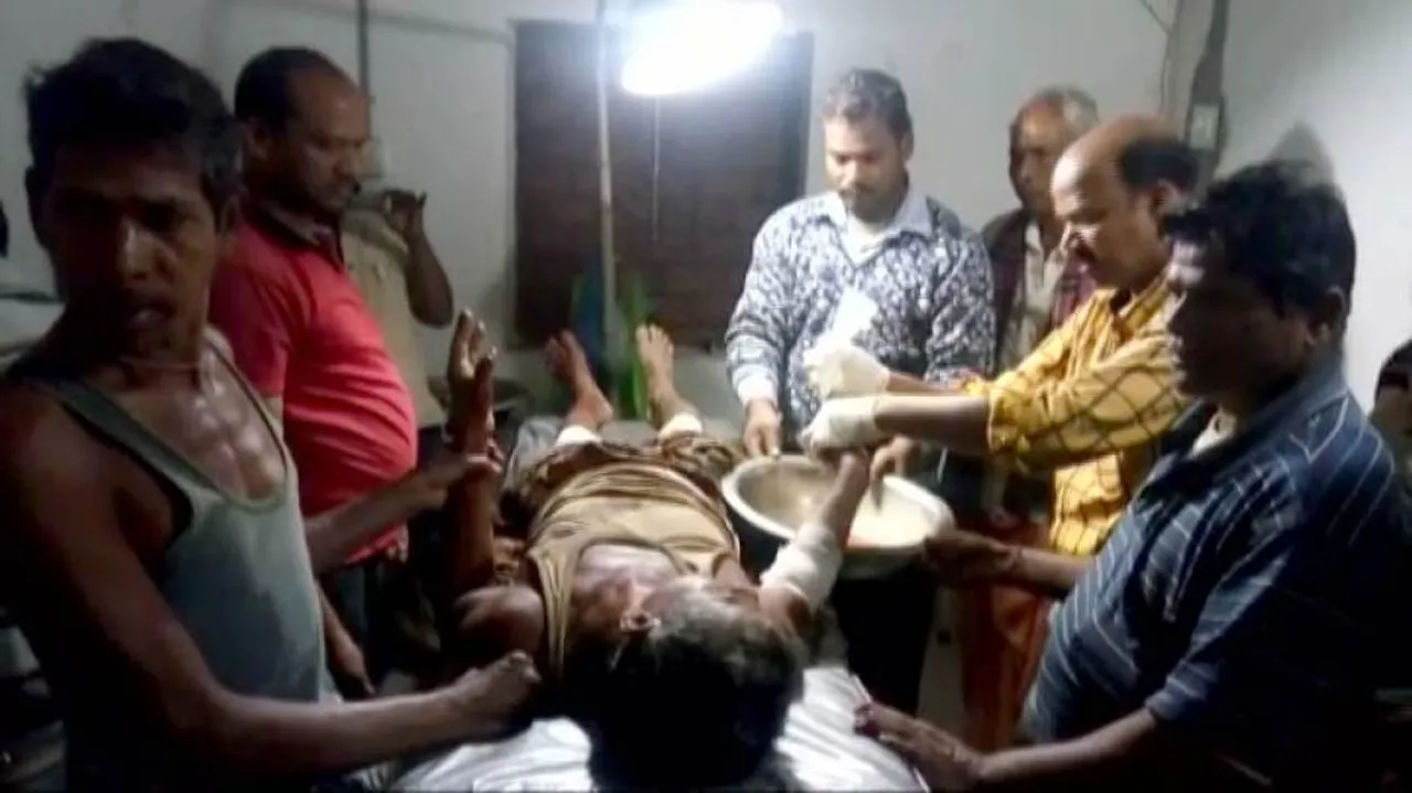 5 injured in wild boar attack in Dhenkanal