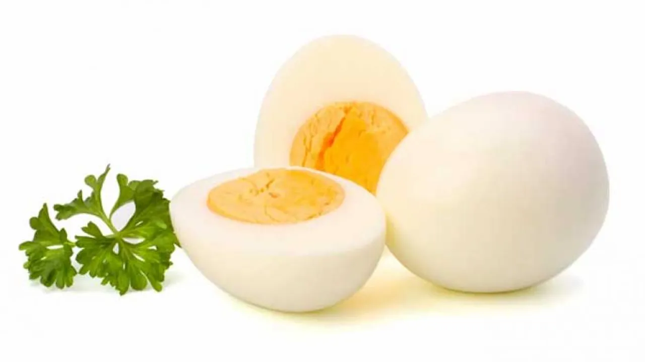 Oral immunotherapy for patients with egg allergy