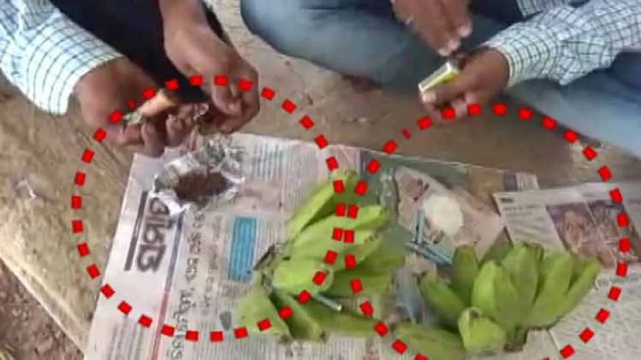 Brown Sugar Trade In Banana Clusters! Video Shows Involvement Of College Students