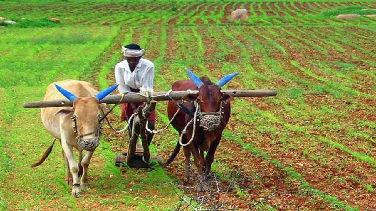 Odisha Cooperative Dept in Mess, Farmers In Great Stress: CAG