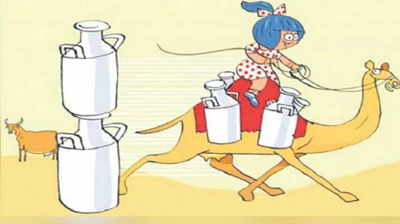 Amul launches camel milk with 'numerous benefits' in select markets