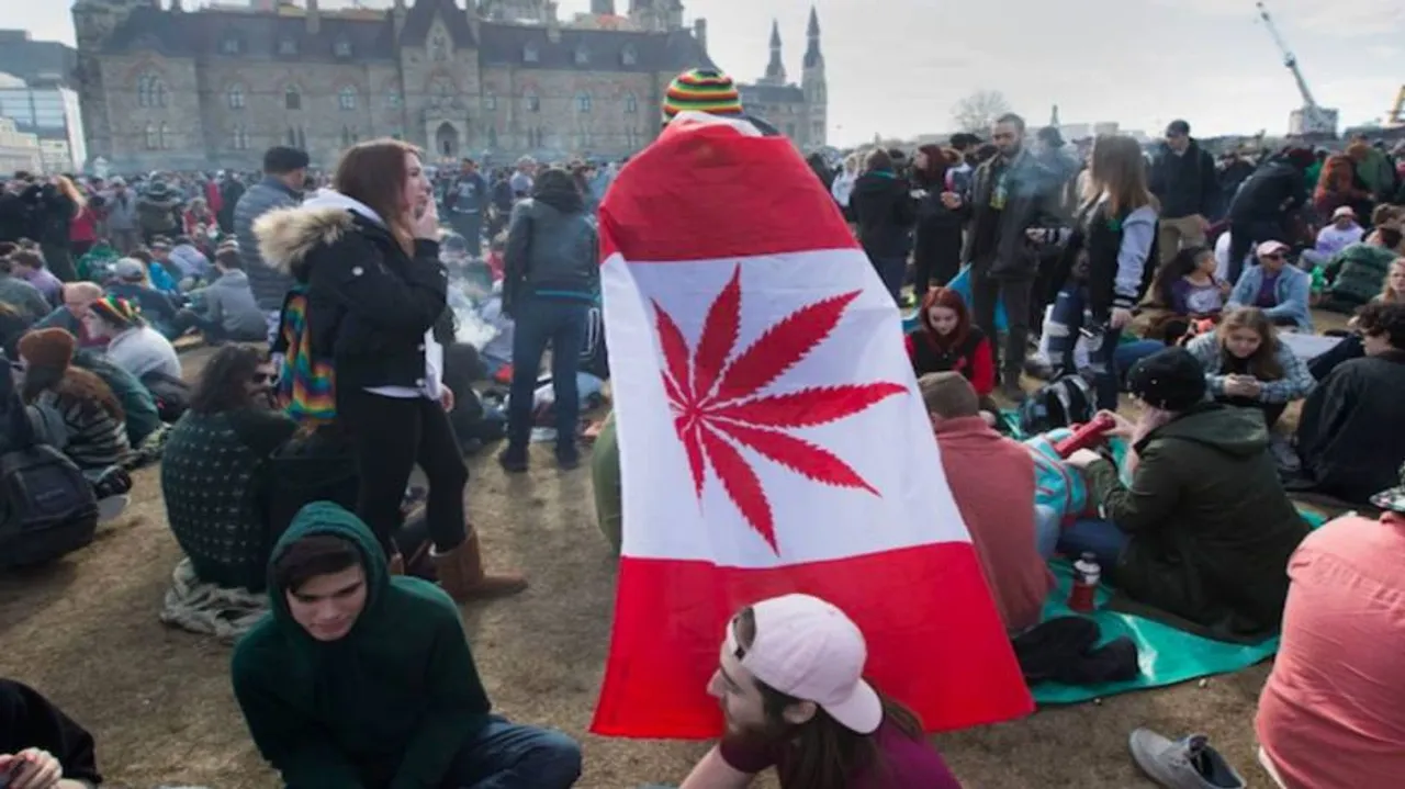 Canada becomes second nation to legalize marijuana