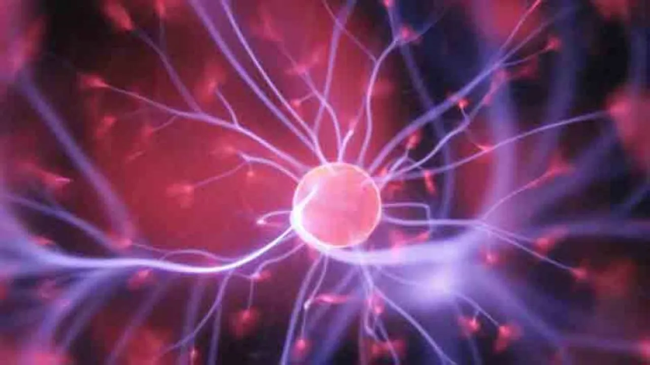 New 3D 'organ on a chip' can monitor cells in real-time