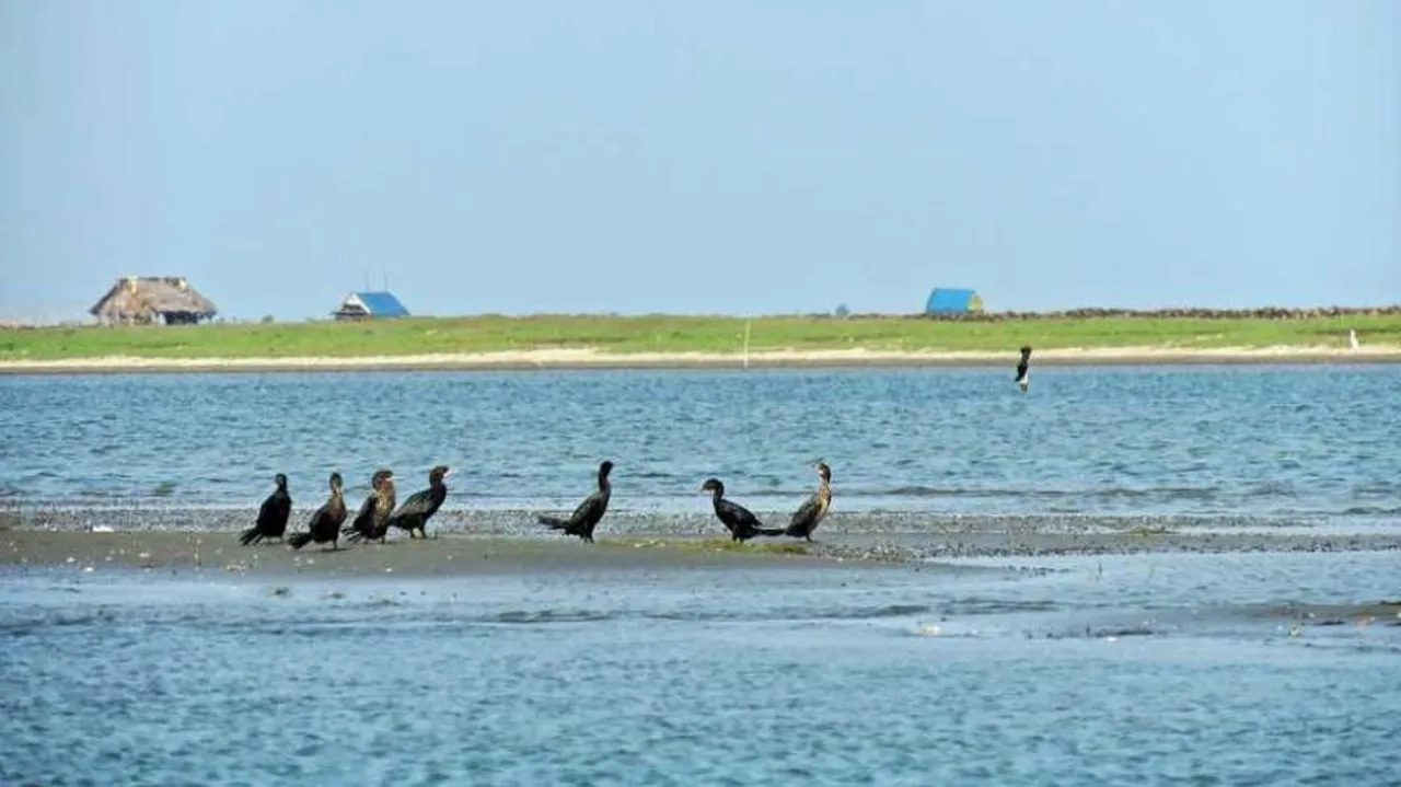 Water aerodrome project mulled on Chilika lake