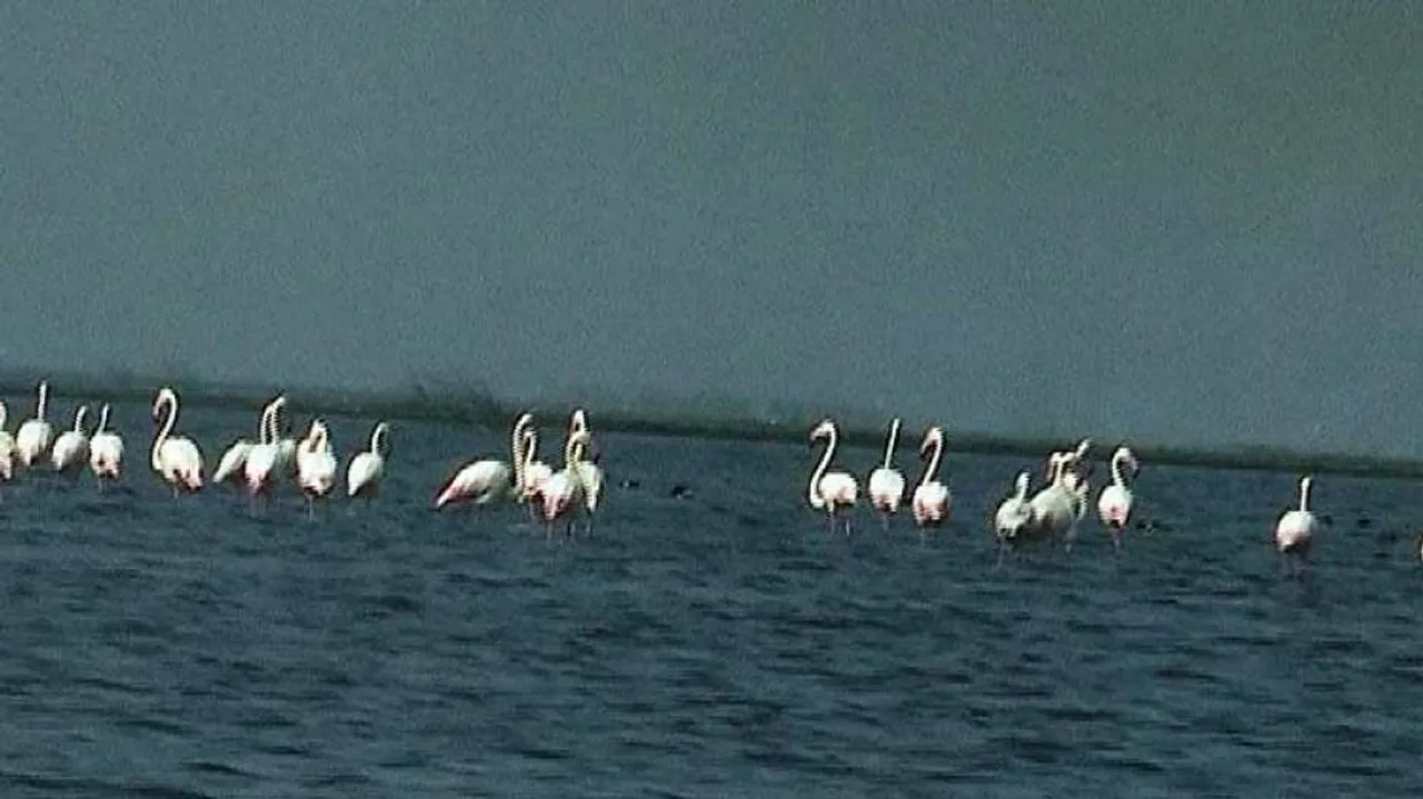 Column: Let’s Showcase Chilika Like The Thames