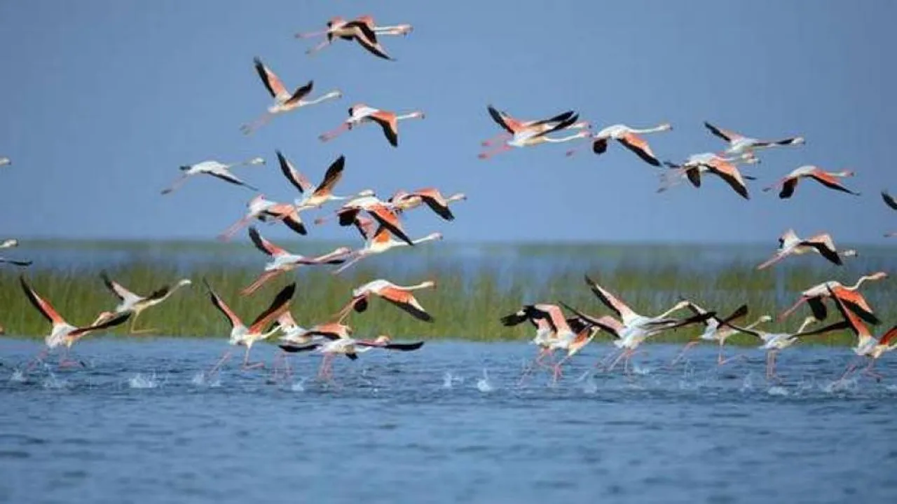 Chilika may soon be tagged World Heritage Site