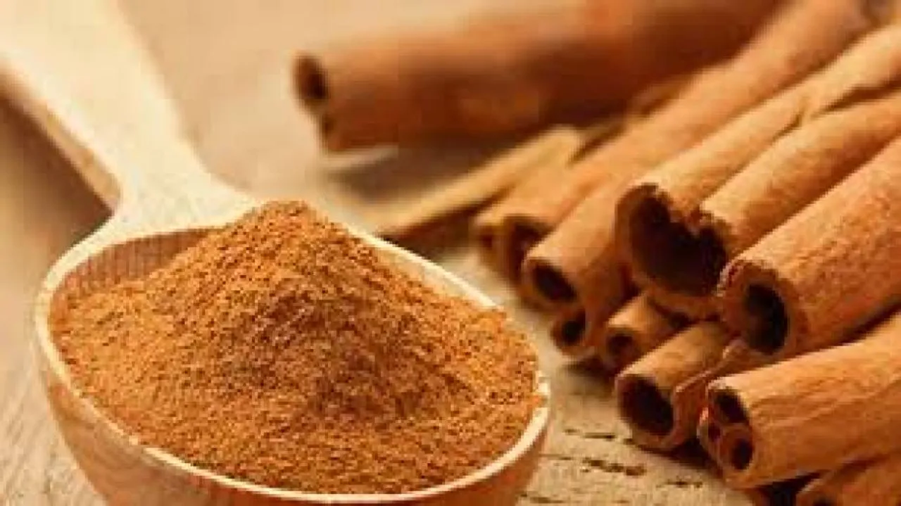 Cinnamon may halt progression of Parkinson's disease