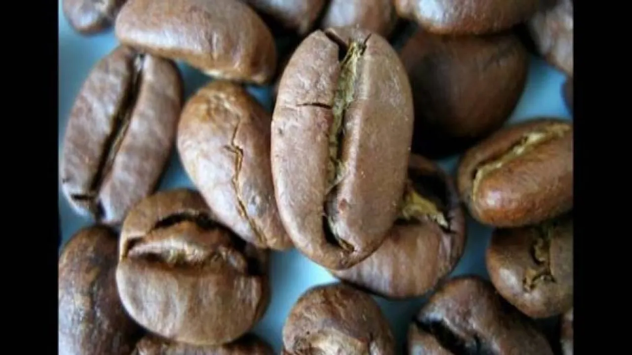 India's 2014-15 coffee output revised down by 4%