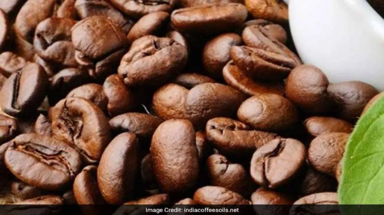 IIITM-K develops app for coffee growers