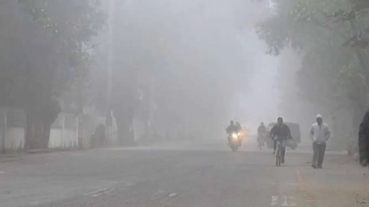 Cold Wave Sweeps Odisha; Minimum Temperature Drops To 11 Degree Celsius In Phulbani