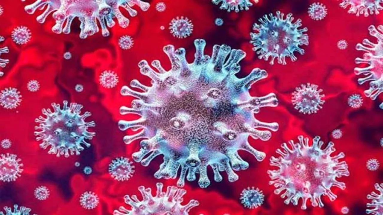 People With Blood Type A More Vulnerable To Coronavirus, O At Low Risk: Study
