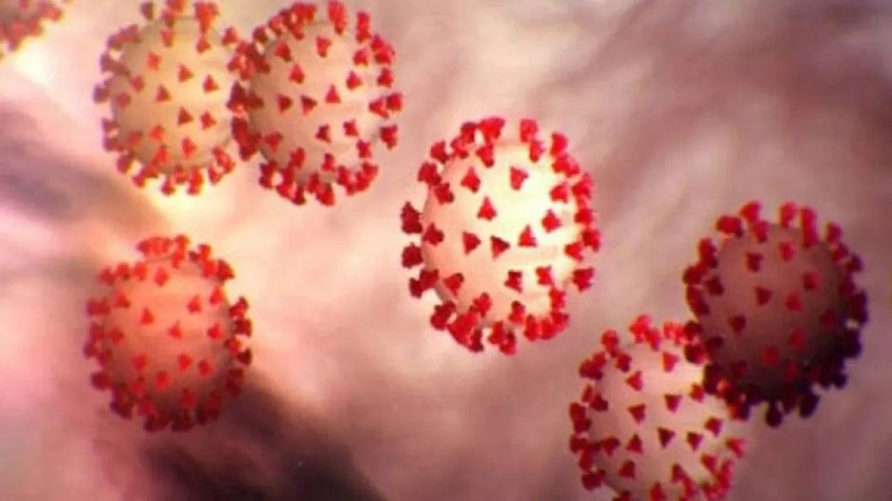 India fights coronavirus: Govt unveils Aarogya Setu COVID-19 tracker app