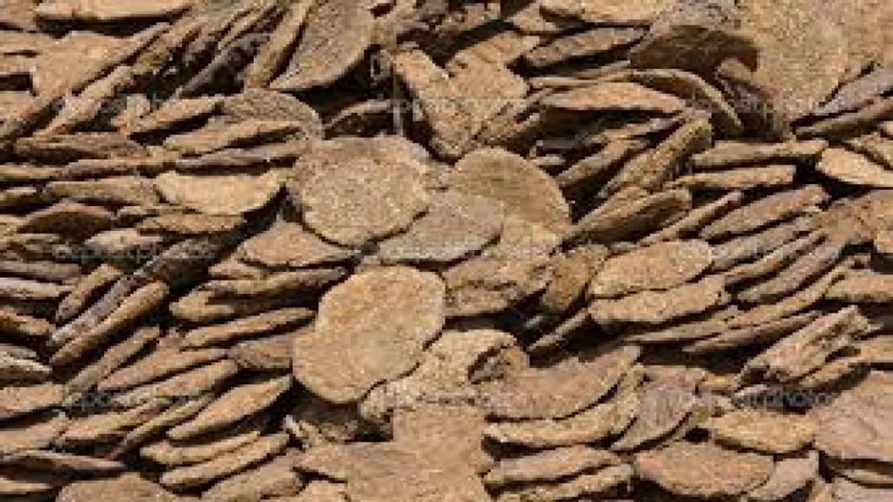Now, buy cow dung cakes online