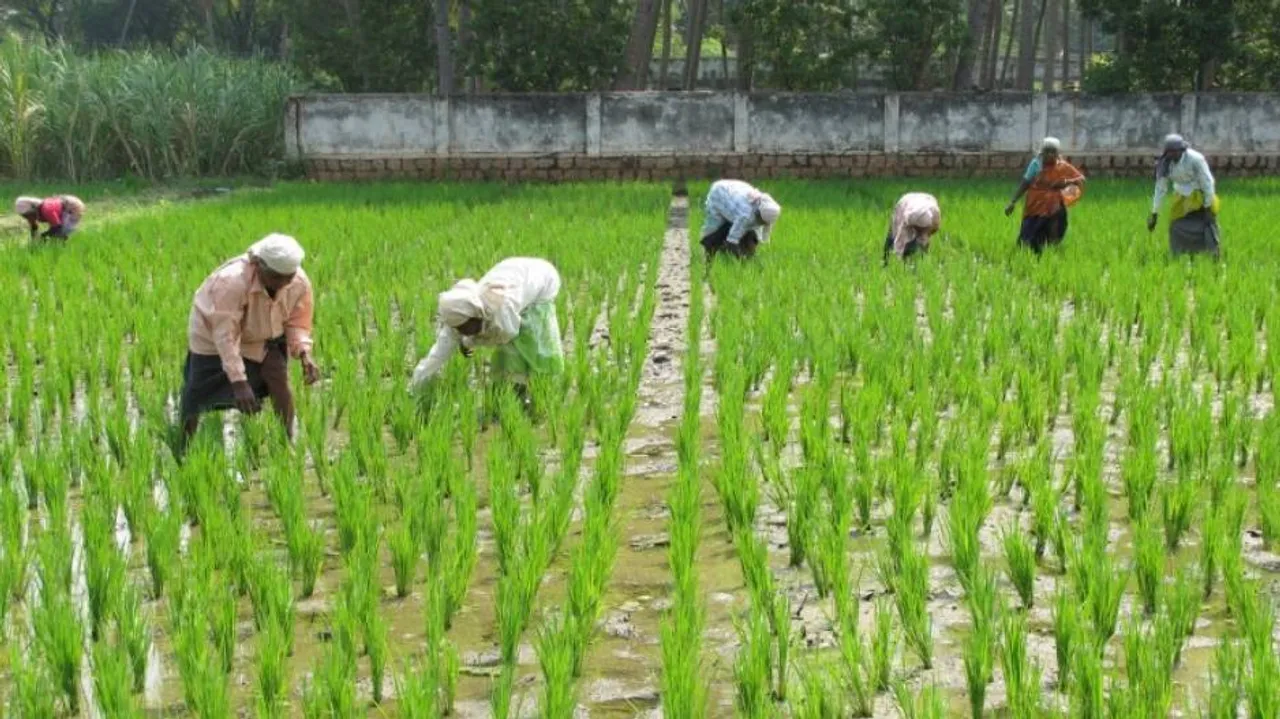 Nabard sanctions Rs 21,000 cr to help farmers