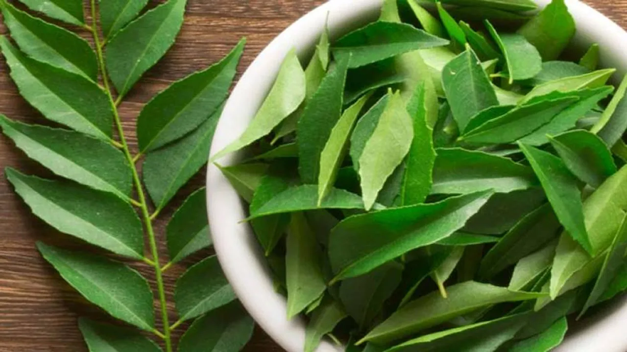 Weight Loss Tips: Know Curry Leaves Use To Shed Kilos In 2 Weeks!