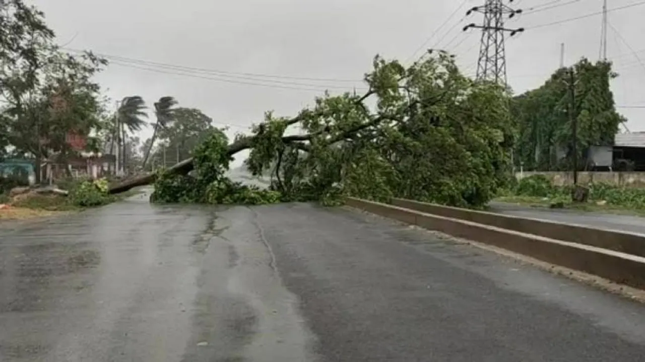 Cyclone Amphan: Odisha Targets Restoration Of Road Communication In 12 Hours