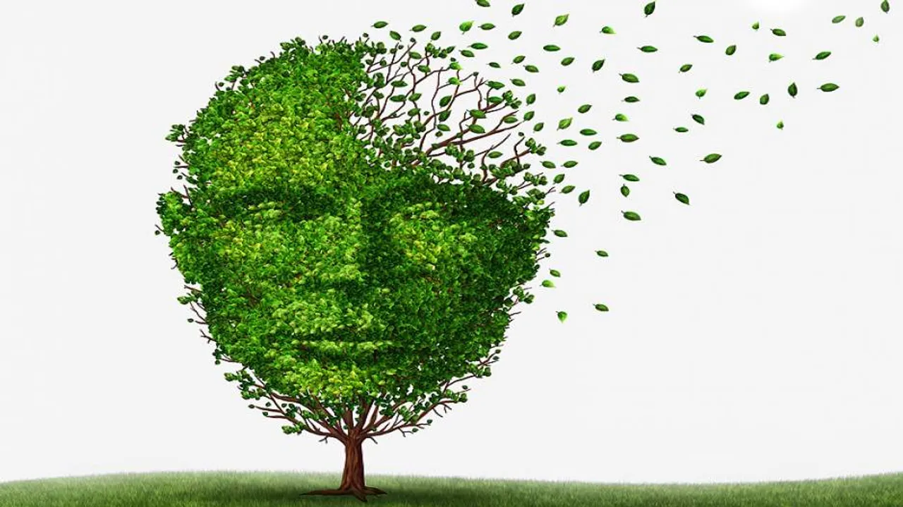 Decoded: What causes dementia