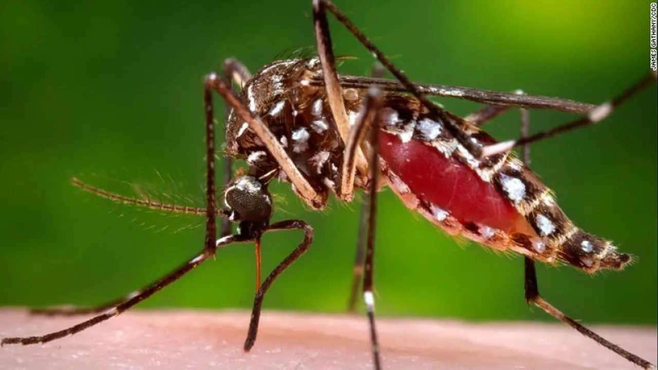 Dengue menace: 4th company sealed in Jagaptpur