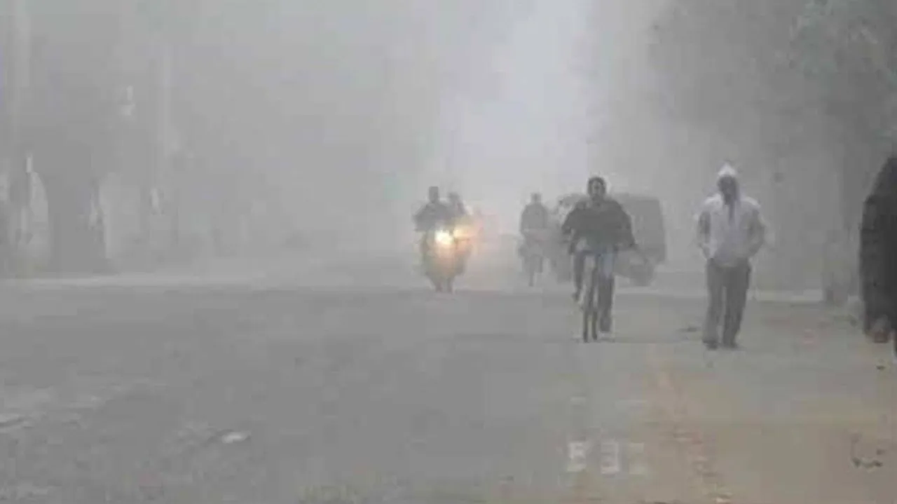 Dense Fog Alert For Odisha: Restrict Movement Of Vehicles On Highways, Asks SRC