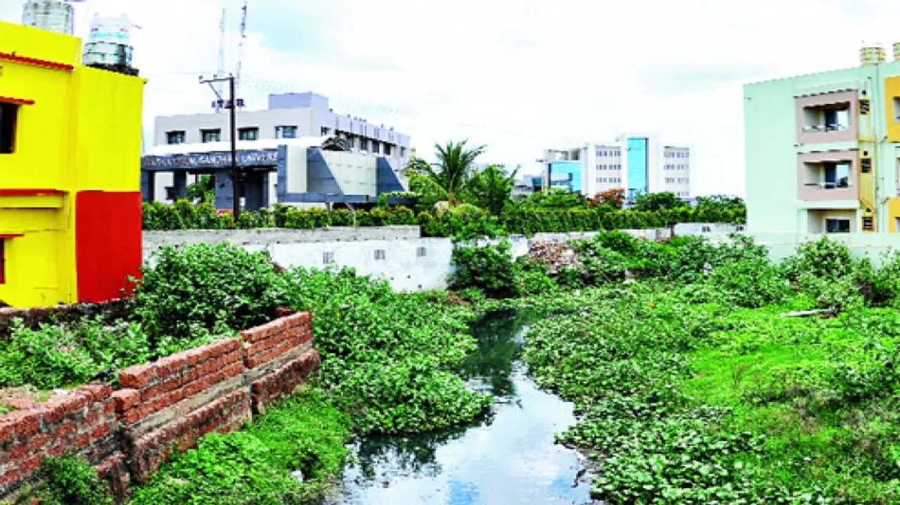After deluge, BMC to revive natural drainage channels