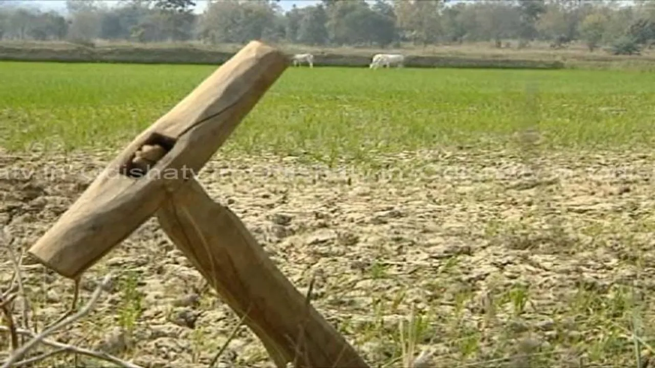 Dry spell forces farmers to become migrant workers