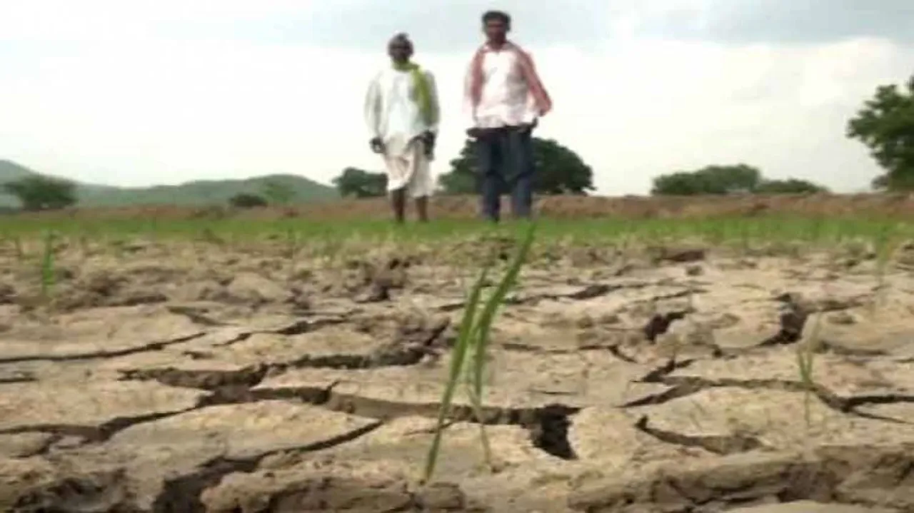 Op-Ed: Spectre Of Drought Hovering Over Odisha